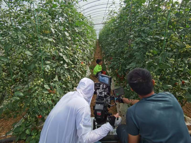 吉县产品宣传视频拍摄公司进阶指南，助力品牌抢占传播高地